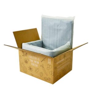 Dry lce shipping Boxes