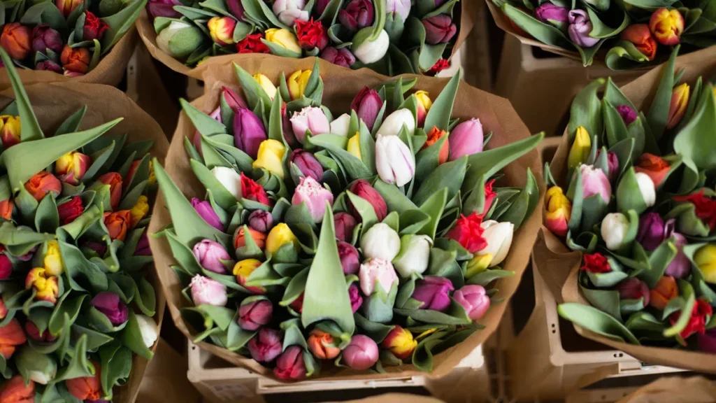 Uses of Tulip Boxes