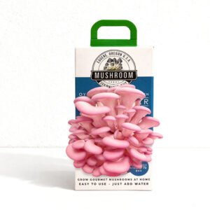 Mushroom Kit Box